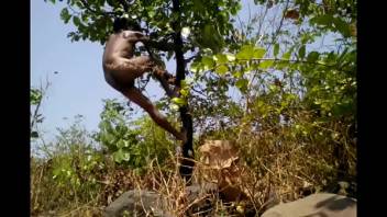 Village Boy Nude Safar In Forest Play With Tree's